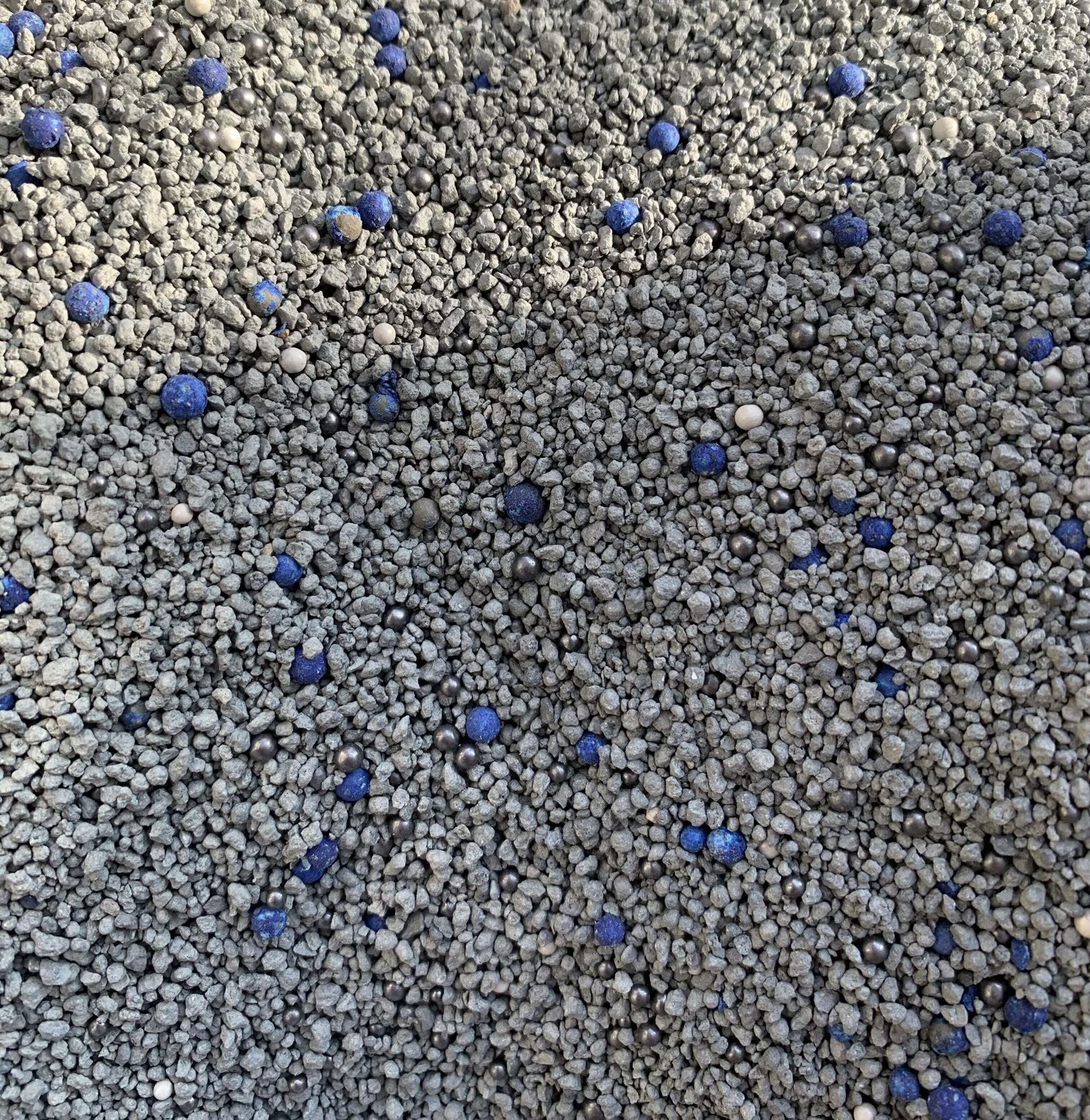 Blue Shield Premium pasir bentonite